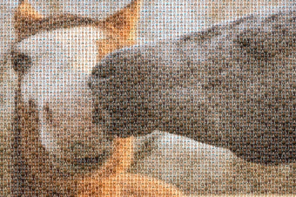 mymosaic