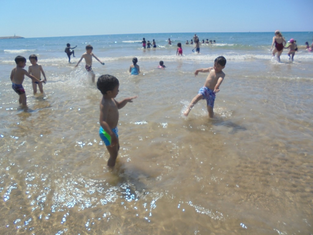 DSC02049