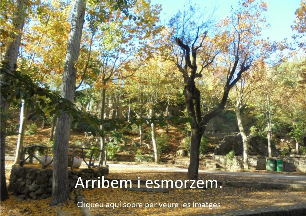 arribem-i-esmorzem