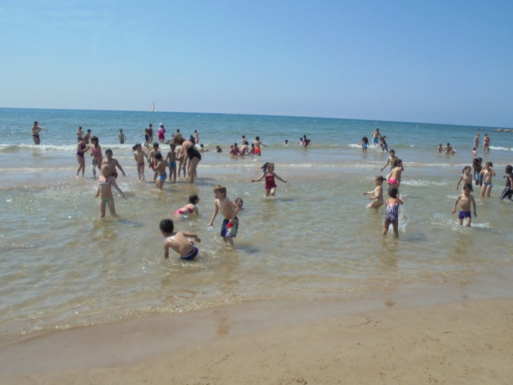 DSC05233
