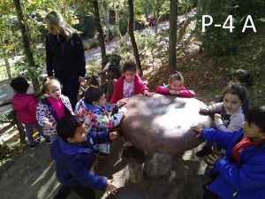 P4A