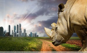 Animales en búsqueda