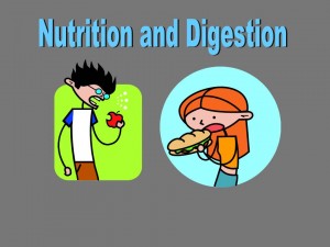 NUTRITION AND DIGESTION