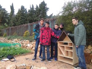 IMG-20170126-WA0011