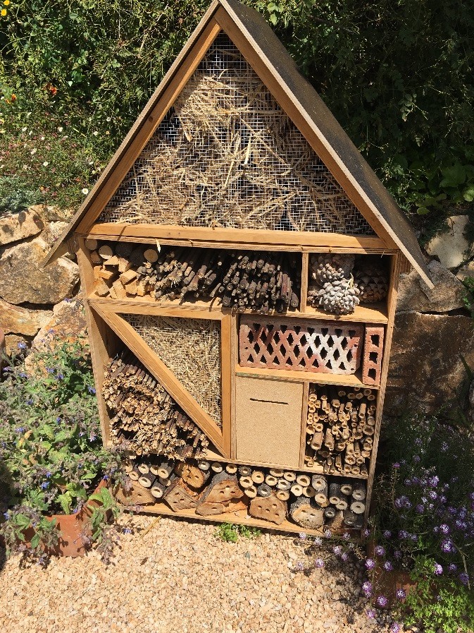 hotel insectes ple