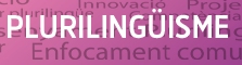 Plurilingüisme