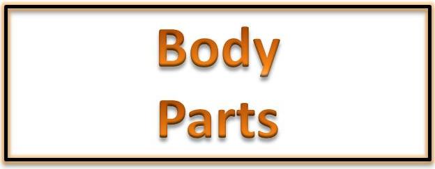 bees_nav_bar_body_parts