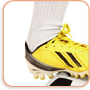 ankle