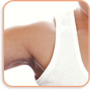 shoulder