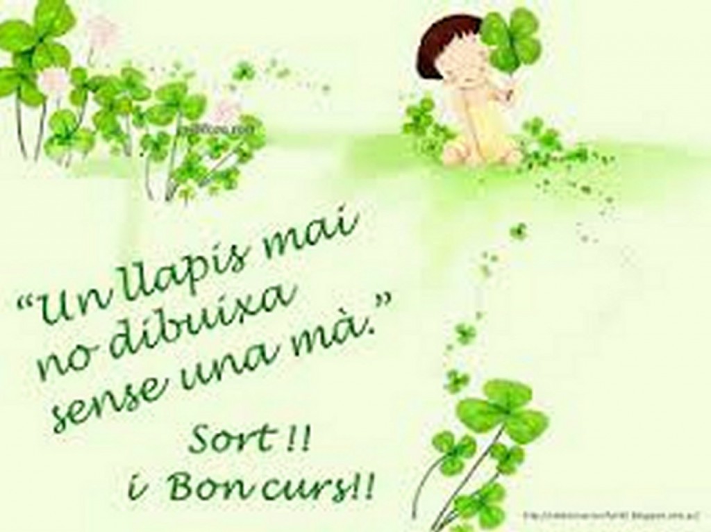 INICI CURS