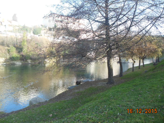DSCN3991