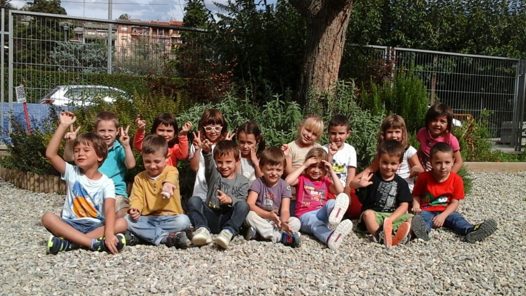 p4 (2)