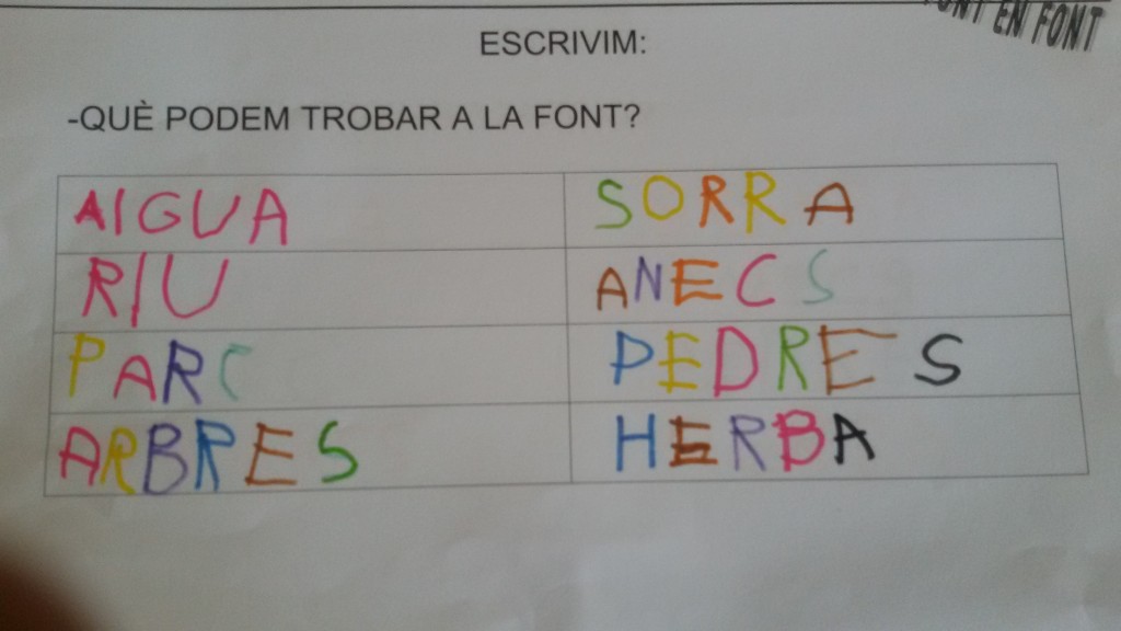 llista paraules P4