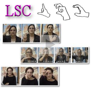 lsc