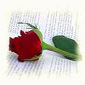 rosa2