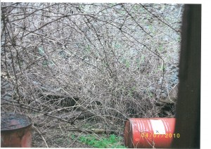 aambiental_20110415115042_000012