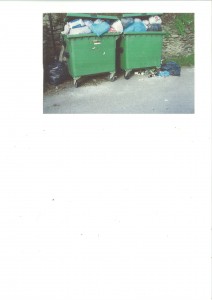 aambiental_20110415115042_00004