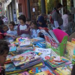sant jordi ci 14 (2)