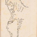 Cal"ligrama d'Apollinaire