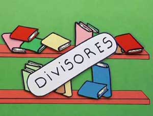 Divisors 1