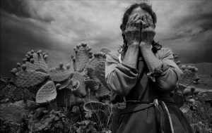 images.duckduckgo.com