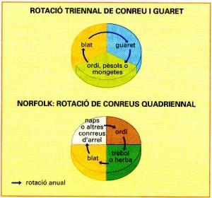 grafic2b1