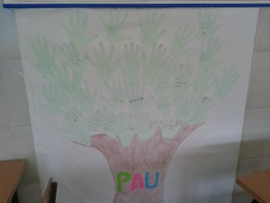 PAU 6A