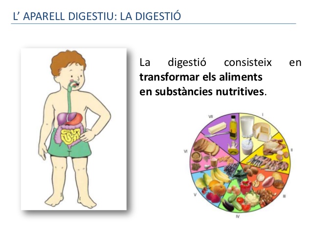 la digestio 3-2-638