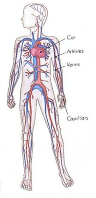 APARELL CIRCULATORI2