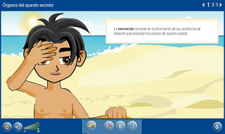 Agrega-Aparato-excretor-ADL