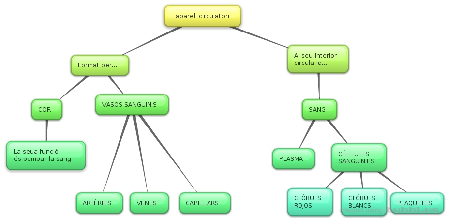 ESQUEMA APARELL CIRCULATORI