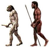 homo-sapiens