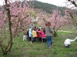 ei-primavera-_resize
