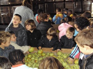 ei-almenar-fruits