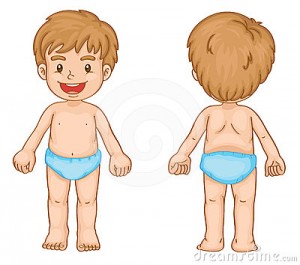 boy-body-parts-24321414