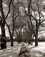 349442977_6f344f21ac_m.jpg