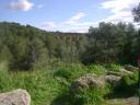 dsc02352.JPG