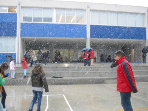 dia-de-neu-008