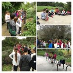 foto-26-10-16-10-36-16-collage