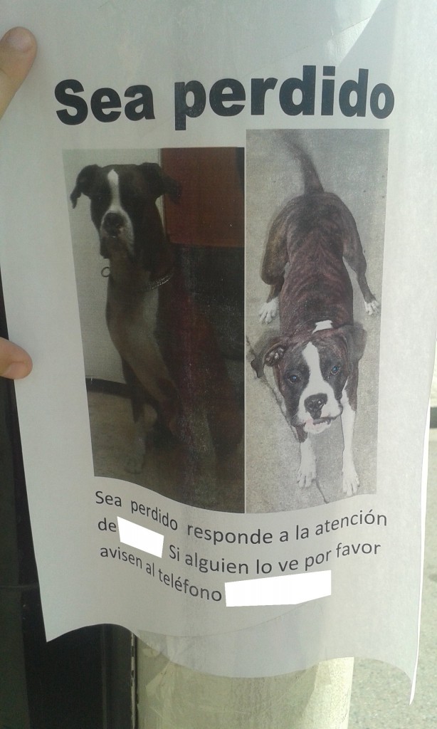 FOTO 040 guillem camí i lucia marcos FET