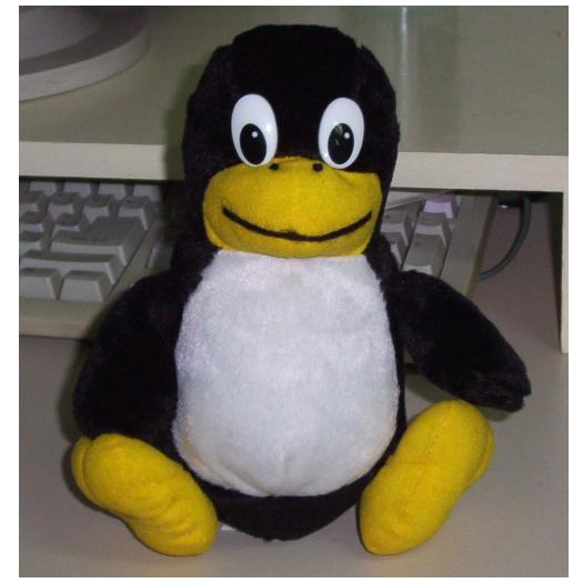 peluche.jpg