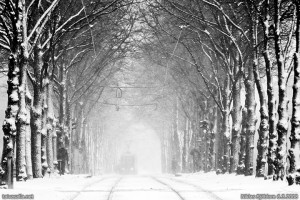 2332302179_0aeb914519_o