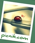 picnik