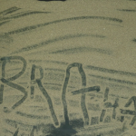 imagen-14