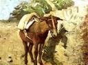 burro1.jpg