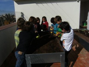 Preparats per REGAR