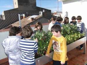 bloc febrer 2ª mesura 001