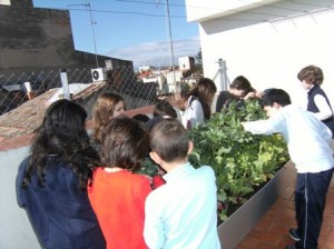 bloc febrer 2ª mesura 004
