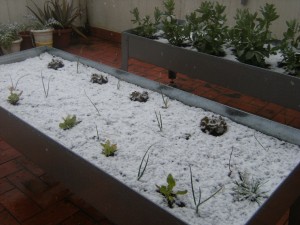 L'hort nevat