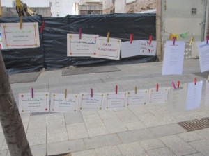 IMG_5539petita